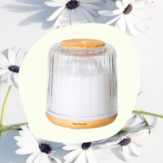 Plant therapy glass humidifier